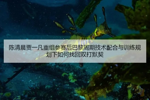 陈清晨贾一凡重组参赛后巴黎周期技术配合与训练规划下如何找回双打默契
