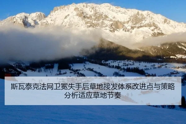 si-wa-tai-ke-fa-wang-wei-mian-shi-shou-hou-cao-di-jie-fa-ti-xi-gai-jin-dian-yu-ce-lve-fen-xi-shi-ying-cao-di-jie-zou-2-793.jpg