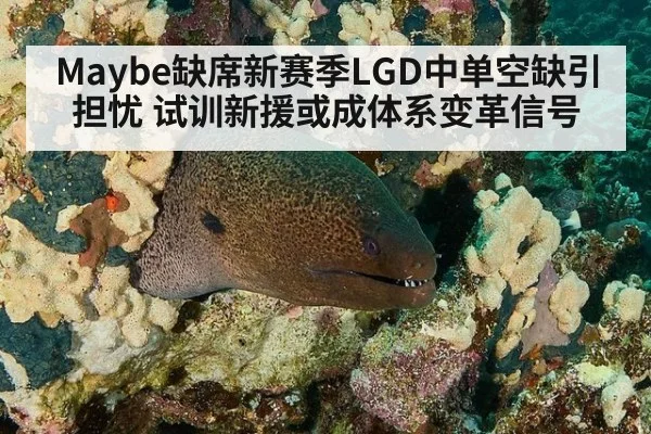 Maybe缺席新赛季LGD中单空缺引担忧 试训新援或成体系变革信号